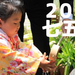 三宮ココロスタジオの七五三前撮り|神戸市中央区、八幡神社